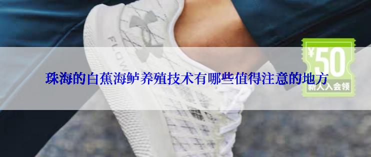  珠海的白蕉海鲈养殖技术有哪些值得注意的地方