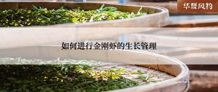 如何进行金刚虾的生长管理