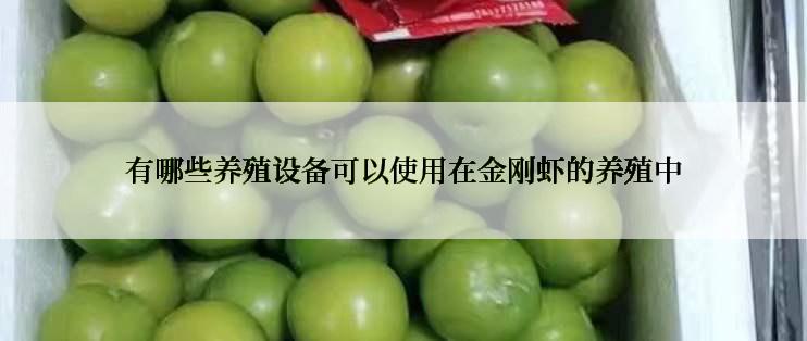 有哪些养殖设备可以使用在金刚虾的养殖中