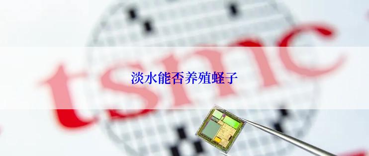 淡水能否养殖蛏子