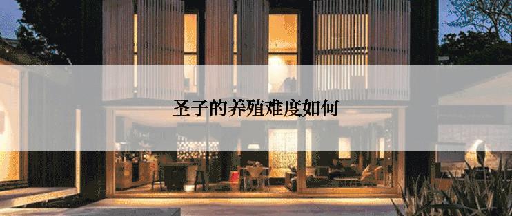 圣子的养殖难度如何