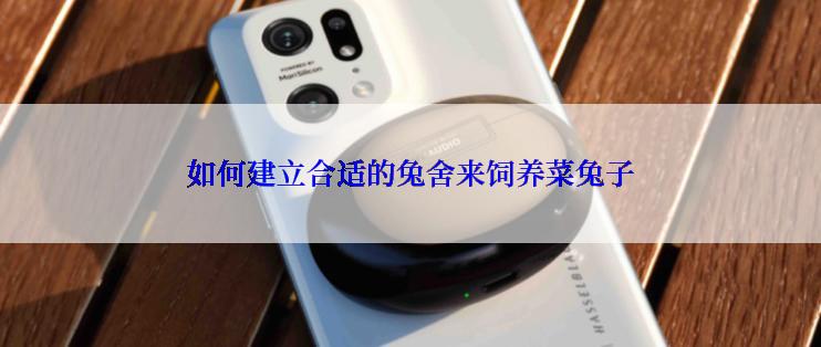 如何建立合适的兔舍来饲养菜兔子