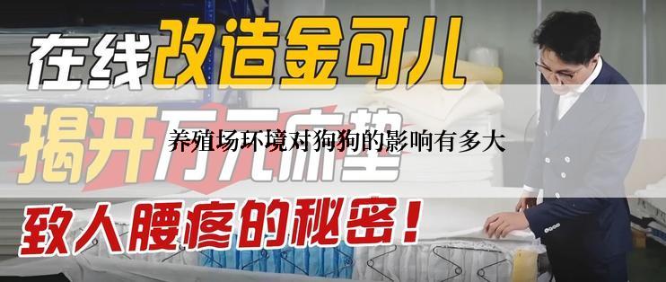  养殖场环境对狗狗的影响有多大