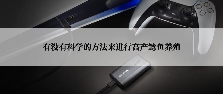 有没有科学的方法来进行高产鲶鱼养殖