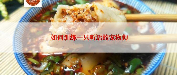  如何训练一只听话的宠物狗