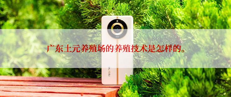 广东土元养殖场的养殖技术是怎样的。
