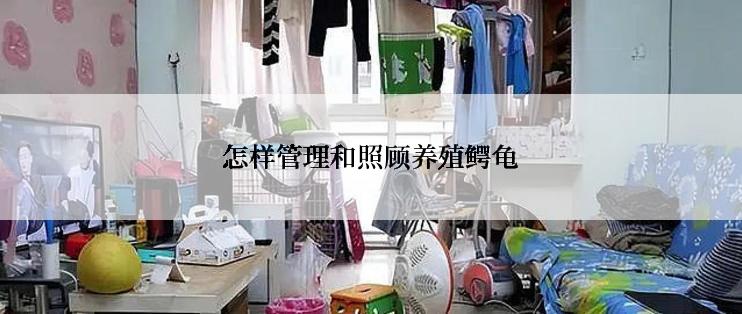 怎样管理和照顾养殖鳄龟
