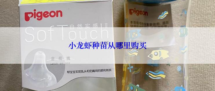 小龙虾种苗从哪里购买