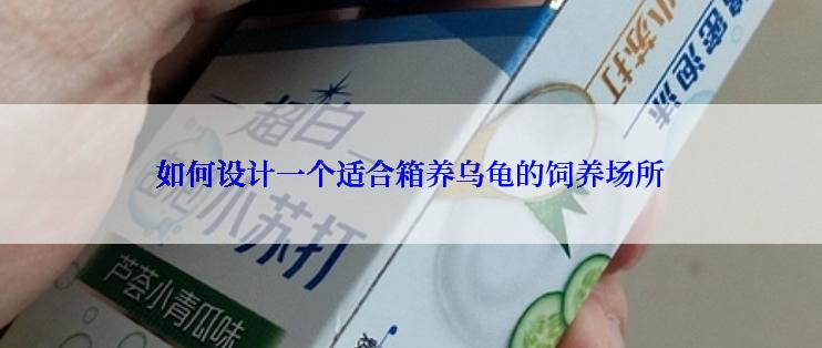 如何设计一个适合箱养乌龟的饲养场所