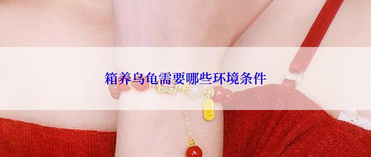 箱养乌龟需要哪些环境条件