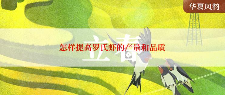 怎样提高罗氏虾的产量和品质