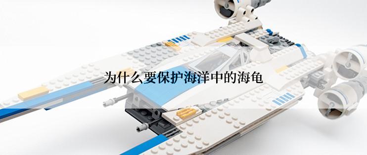 为什么要保护海洋中的海龟