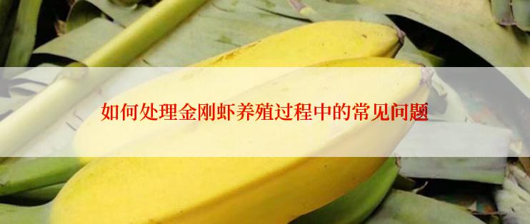 如何处理金刚虾养殖过程中的常见问题