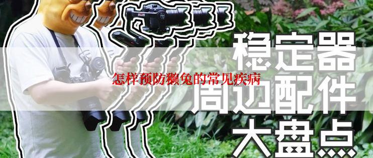 怎样预防獭兔的常见疾病