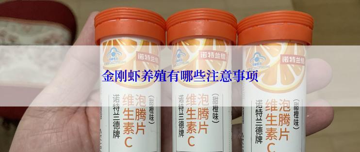 金刚虾养殖有哪些注意事项