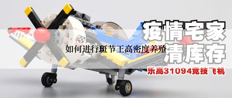 如何进行斑节王高密度养殖