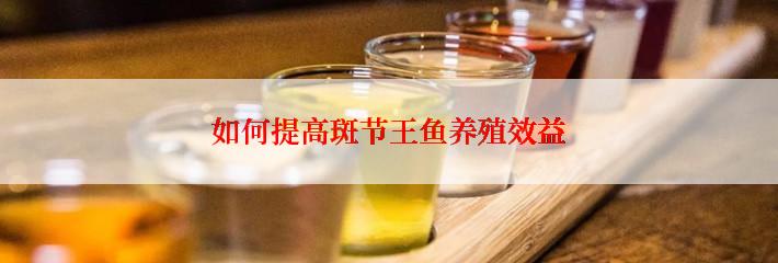 如何提高斑节王鱼养殖效益