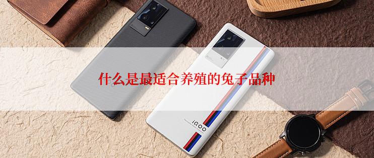 什么是最适合养殖的兔子品种