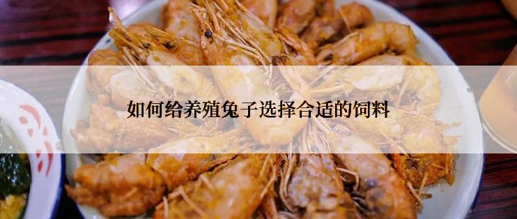 如何给养殖兔子选择合适的饲料