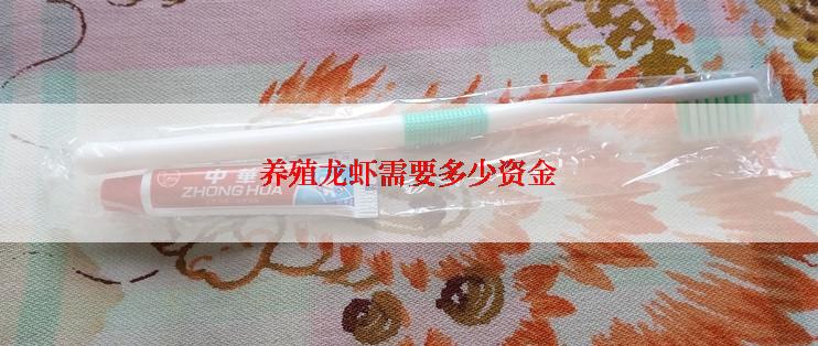 养殖龙虾需要多少资金