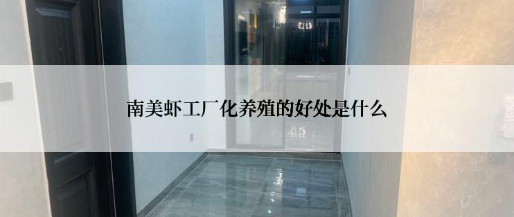 南美虾工厂化养殖的好处是什么