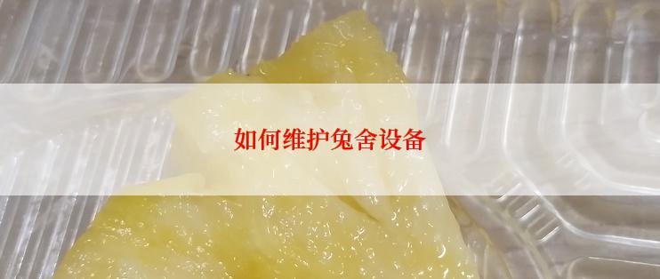 如何维护兔舍设备