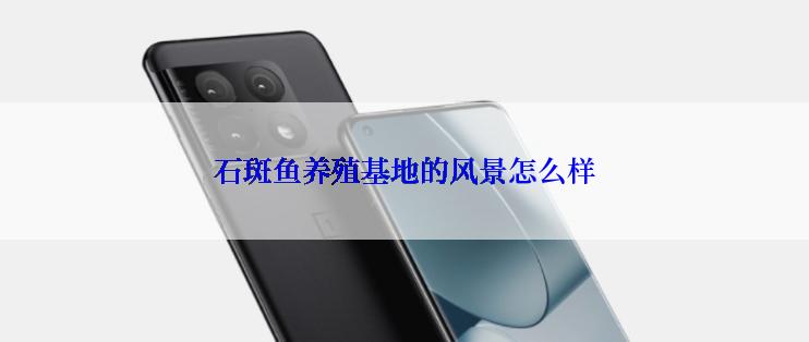 石斑鱼养殖基地的风景怎么样