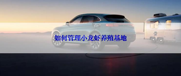 如何管理小龙虾养殖基地