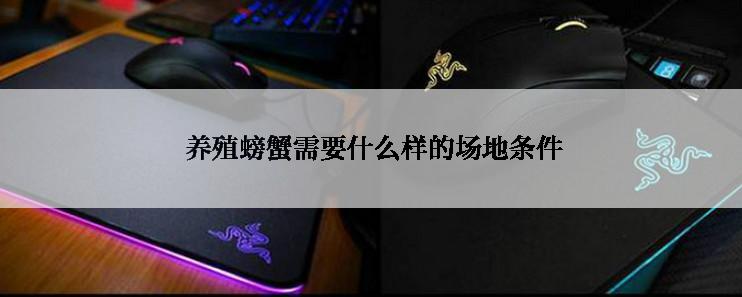  养殖螃蟹需要什么样的场地条件