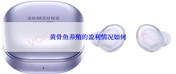 黄骨鱼养殖的盈利情况如何