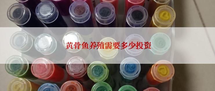  黄骨鱼养殖需要多少投资