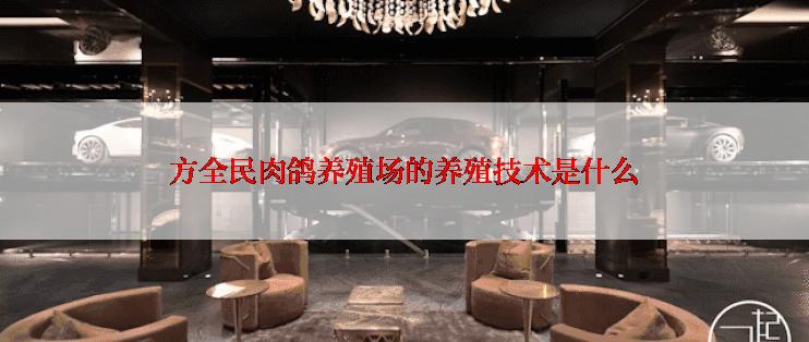 方全民肉鸽养殖场的养殖技术是什么