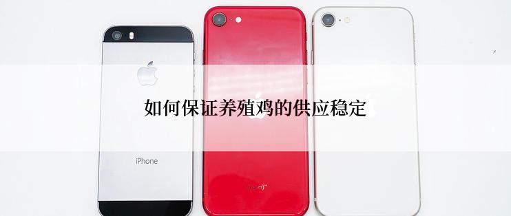 如何保证养殖鸡的供应稳定