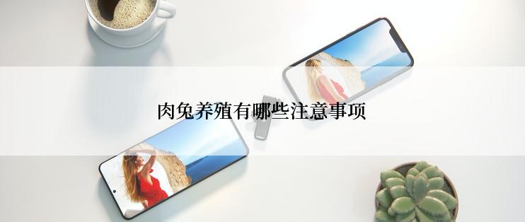 肉兔养殖有哪些注意事项