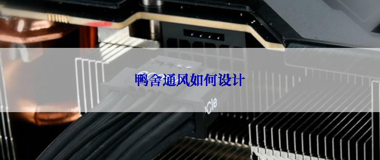 鸭舍通风如何设计