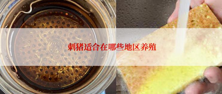  刺猪适合在哪些地区养殖