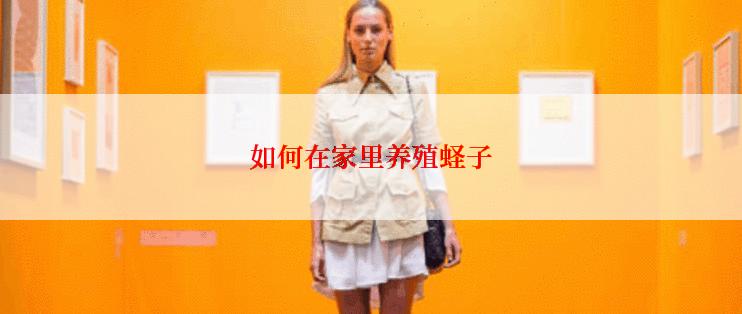 如何在家里养殖蛏子