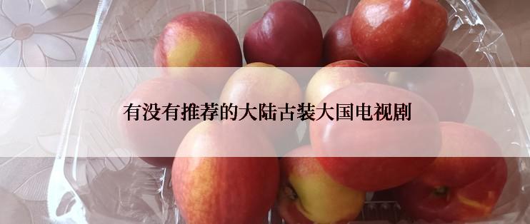  有没有推荐的大陆古装大国电视剧