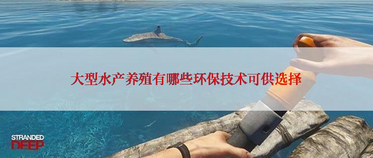 大型水产养殖有哪些环保技术可供选择