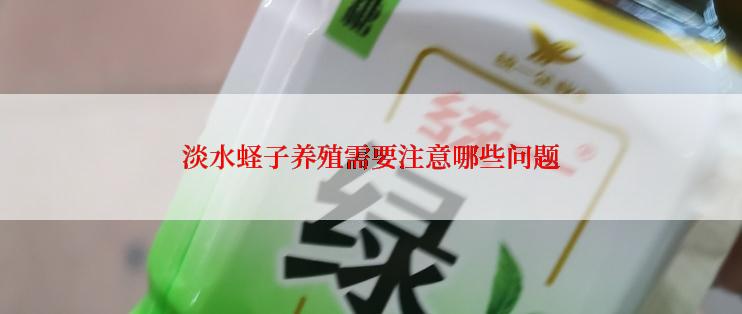 淡水蛏子养殖需要注意哪些问题
