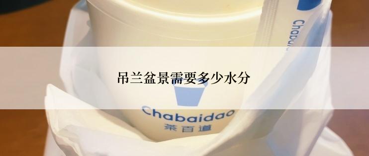 吊兰盆景需要多少水分