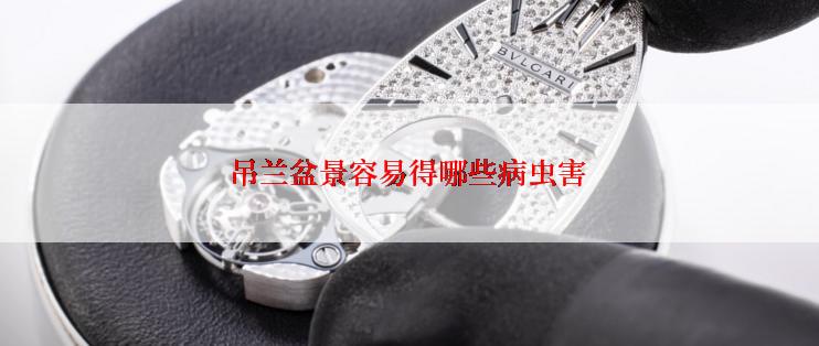 吊兰盆景容易得哪些病虫害