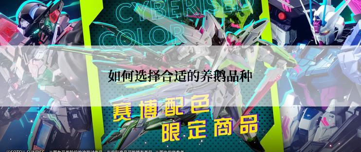 如何选择合适的养鹅品种