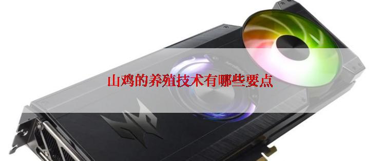 山鸡的养殖技术有哪些要点