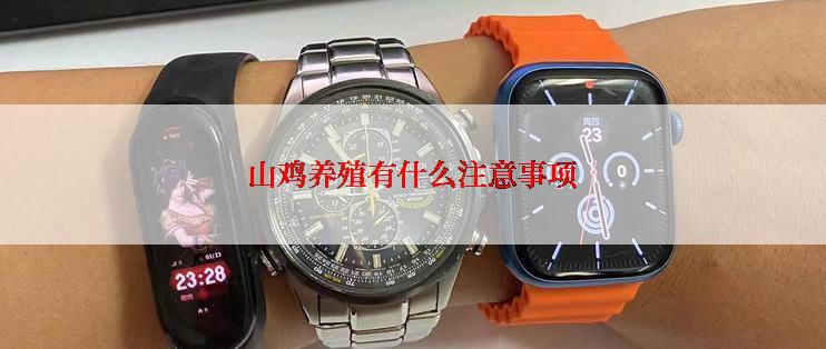 山鸡养殖有什么注意事项