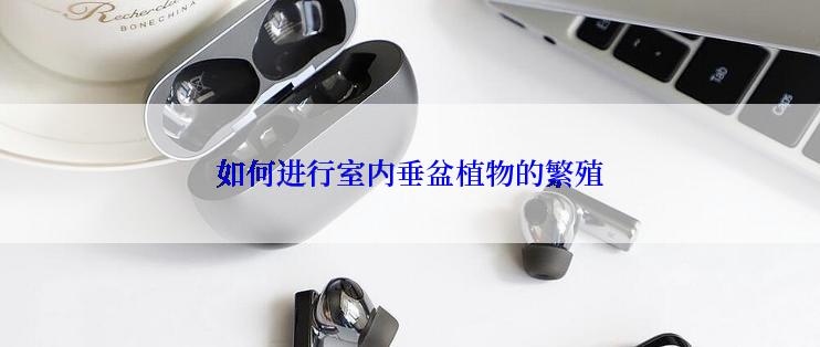 如何进行室内垂盆植物的繁殖