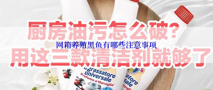 网箱养殖黑鱼有哪些注意事项