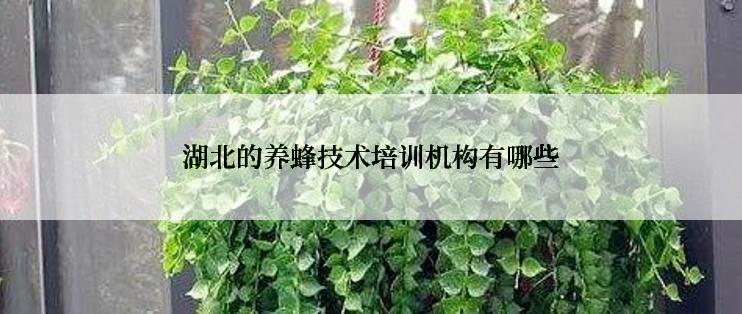 湖北的养蜂技术培训机构有哪些