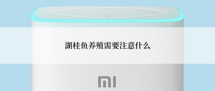 湖桂鱼养殖需要注意什么