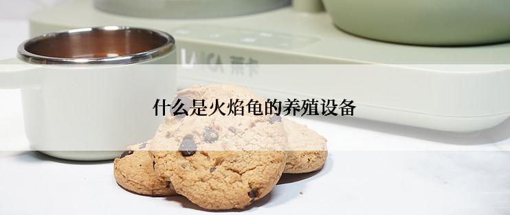 什么是火焰龟的养殖设备